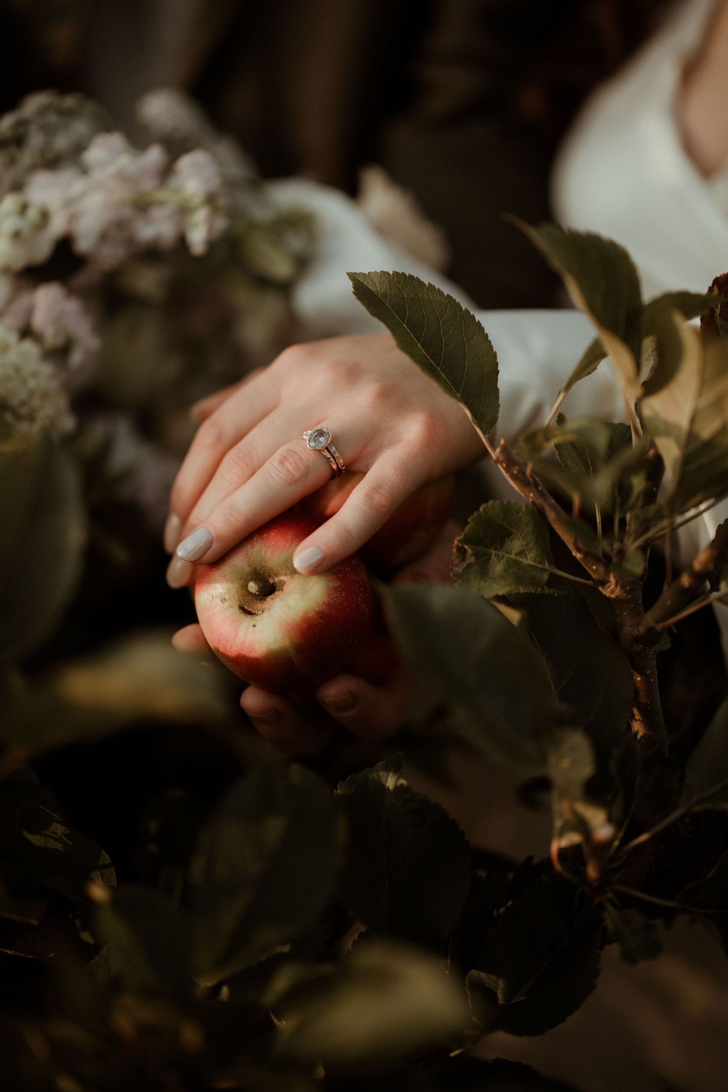 A delicate hand wearing a ring reaches for a ripe red apple among green leaves in moody lighting.