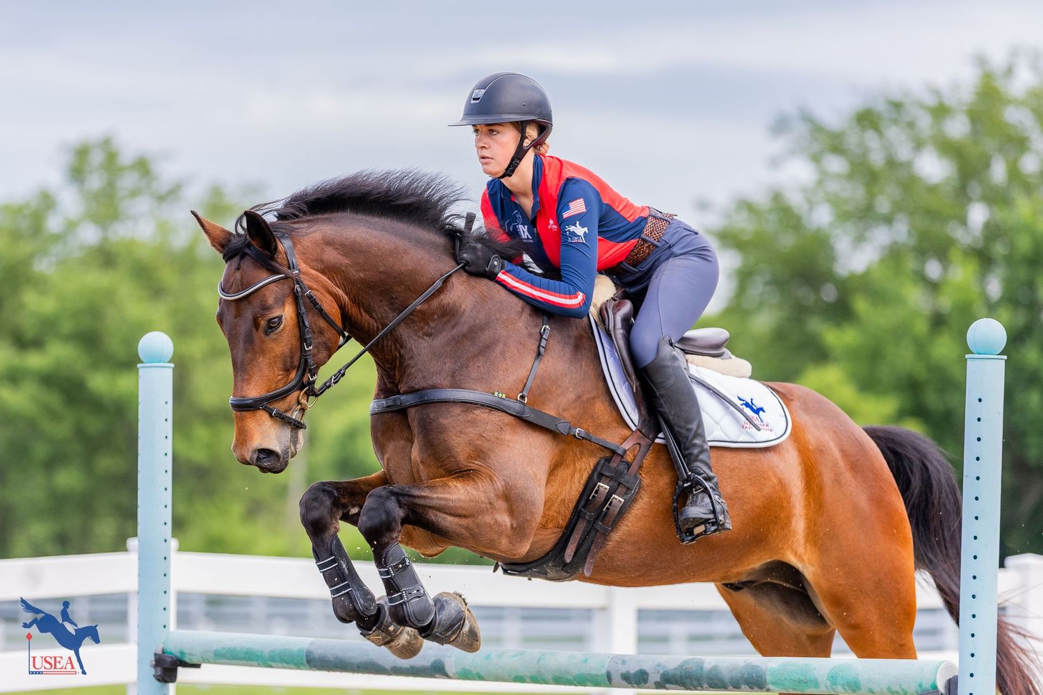 Equestrian rider guides horse over multiple jumping obstacles during outdoor competition event on grass field.