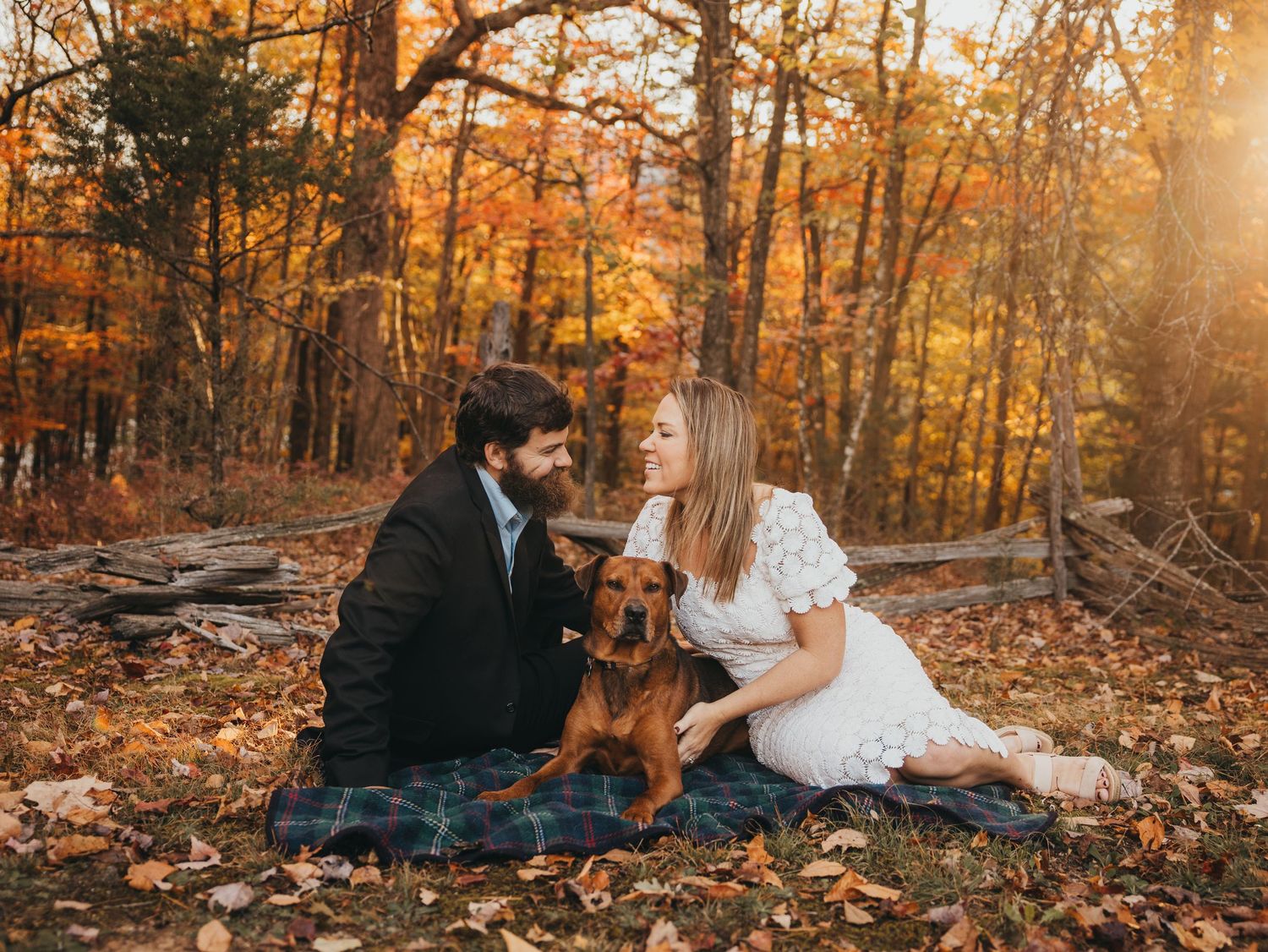 A couple and their brown dog sit on a blanket in a fall forest with golden autumn leaves.