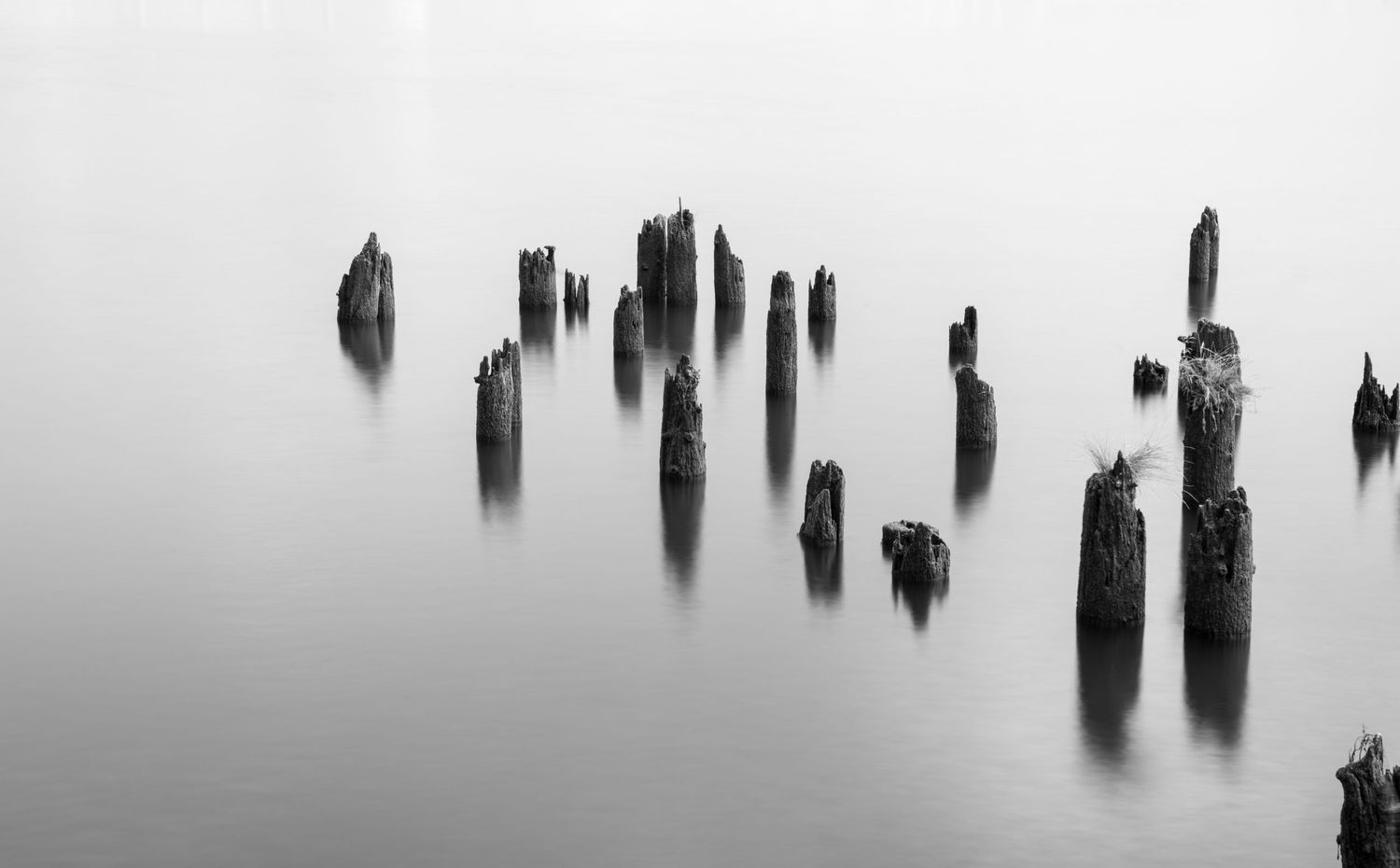 Black and white long exposure of decaying wooden pilings in still water. Minimalist coastal composition with soft light and symmetry.