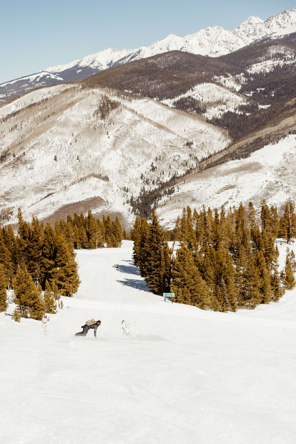Panoramic view of snow-covered mountain slopes with evergreen forest and ski runs.