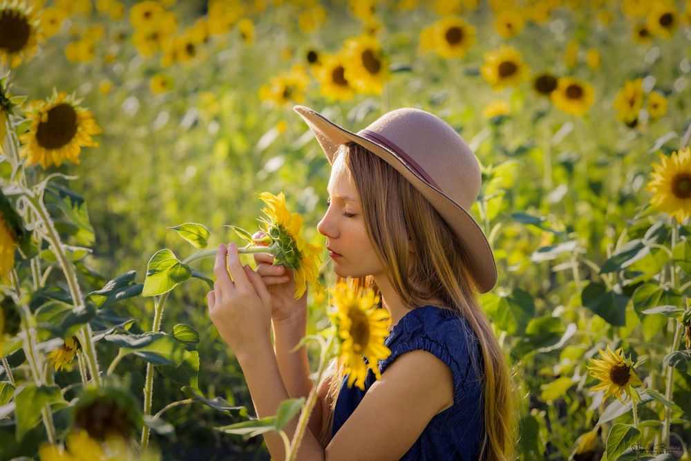 Series of outdoor portraits in a sunflower field with golden afternoon light.
