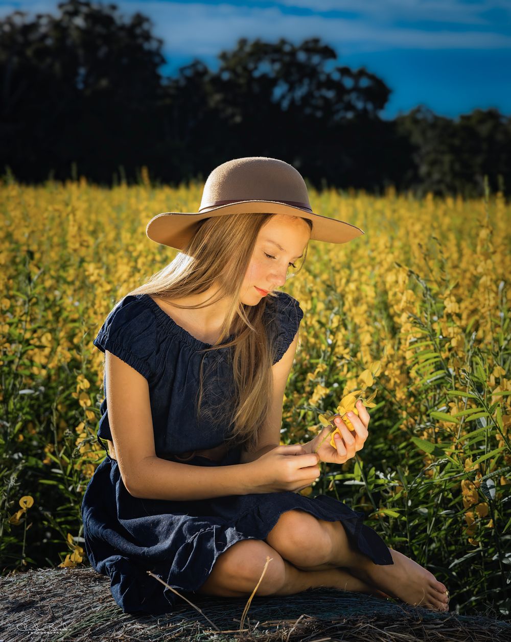 Peaceful moments captured in a sunlit field during golden hour.
