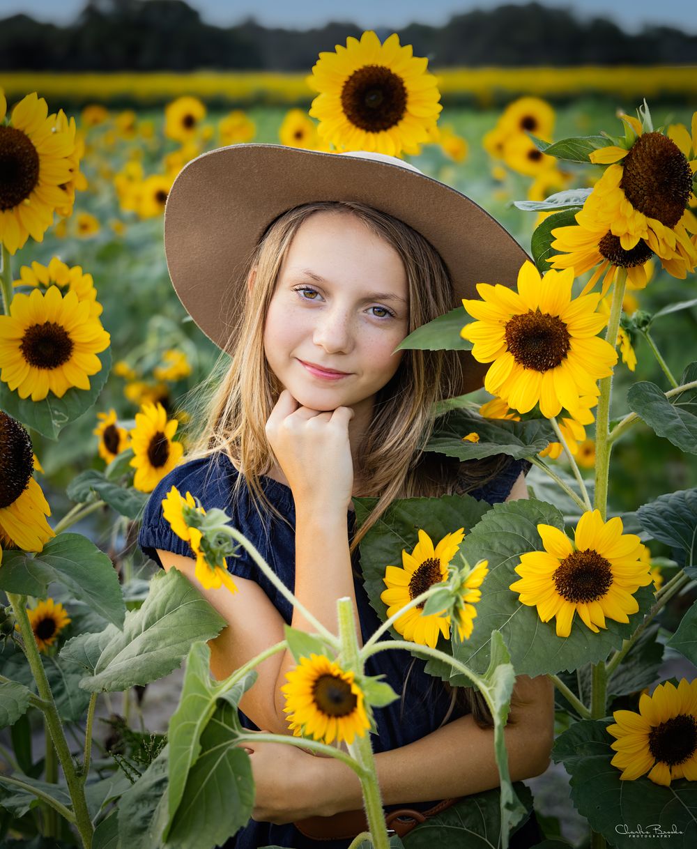 Artistic portrait sequence among tall sunflowers in a golden field.