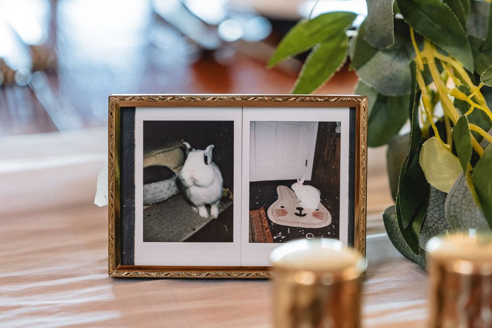 Two framed black and white photos displayed on a wooden table with decorative plants and candles.