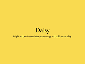 The word 'Daisy' displayed in black text on a bright yellow background with a subtitle about bright and joyful energy.