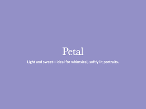 A light purple background with white text displaying 'Petal' and a subtle description about whimsical portraits.
