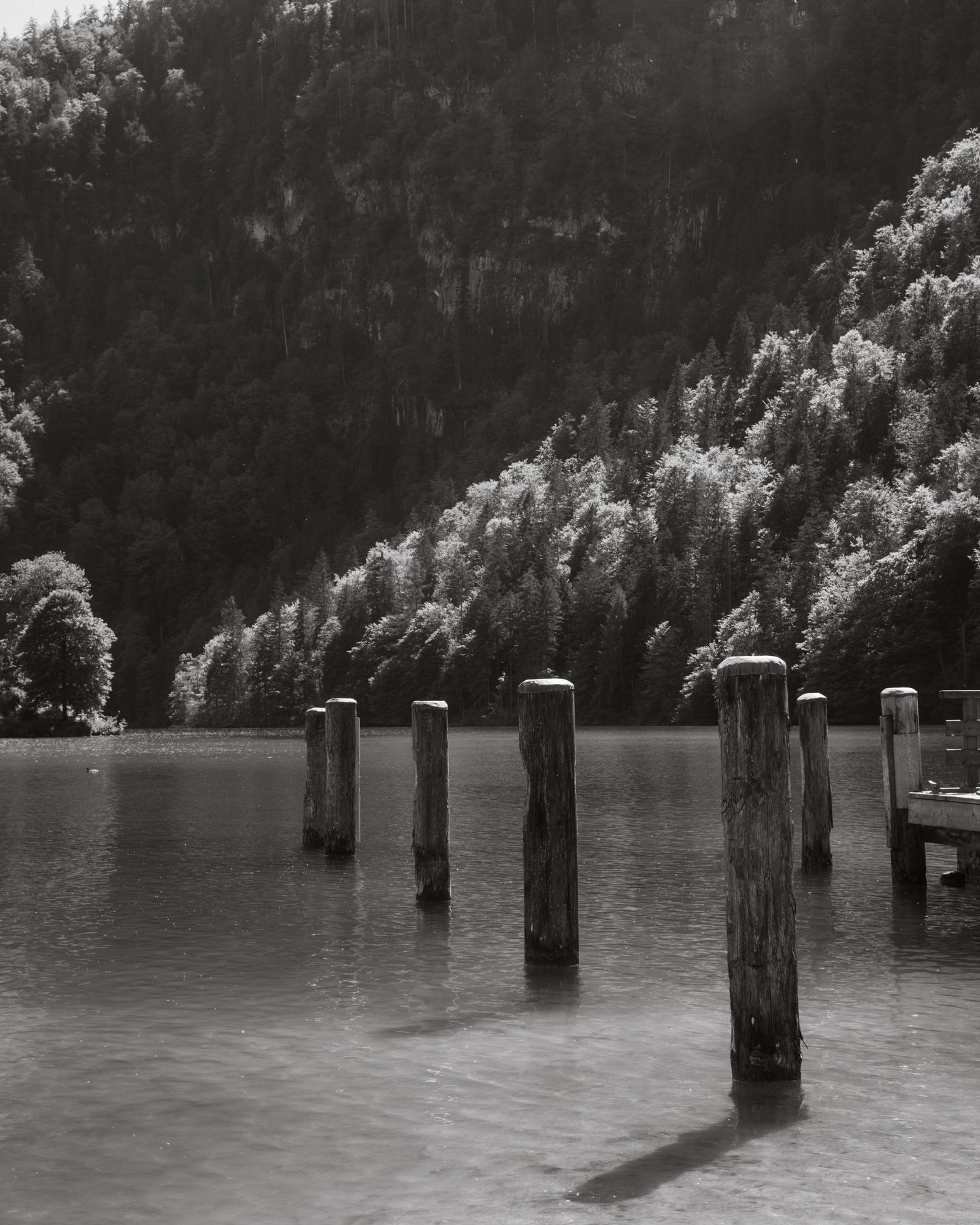 Lake Königssee Dock