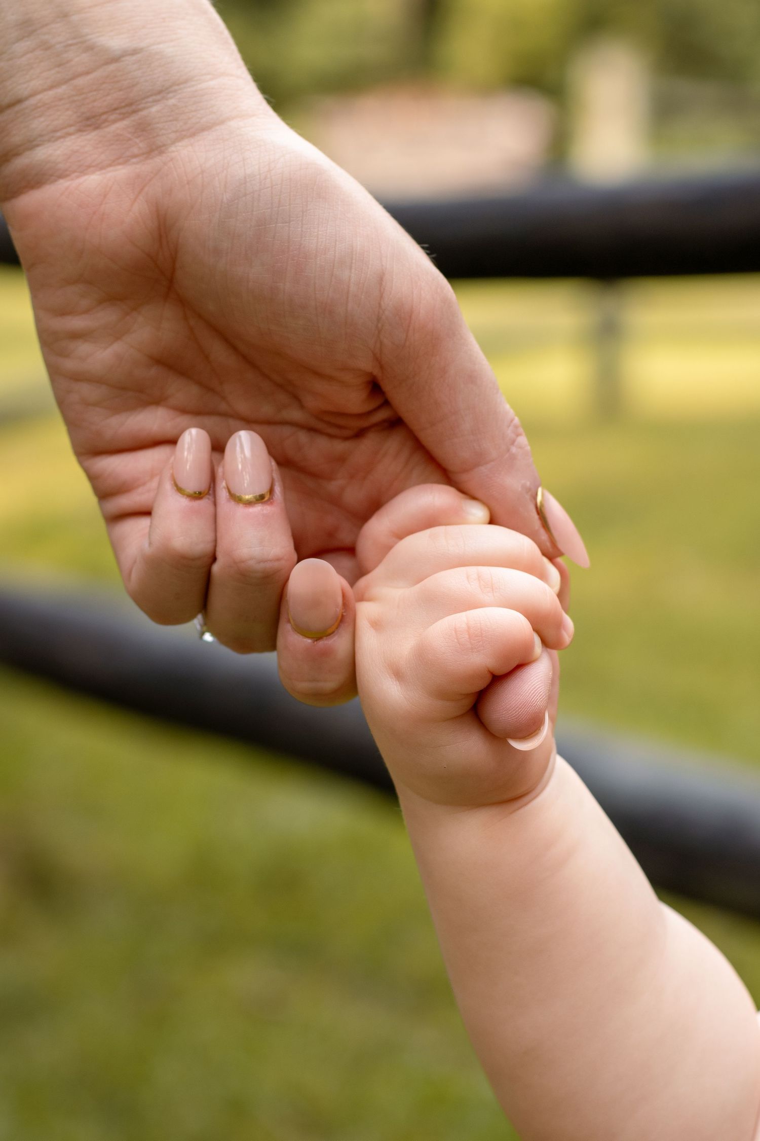 Expecting parents to be sitting in front of crib cuddling puppy in a nursery. Captured by Raley and Roots Photography.