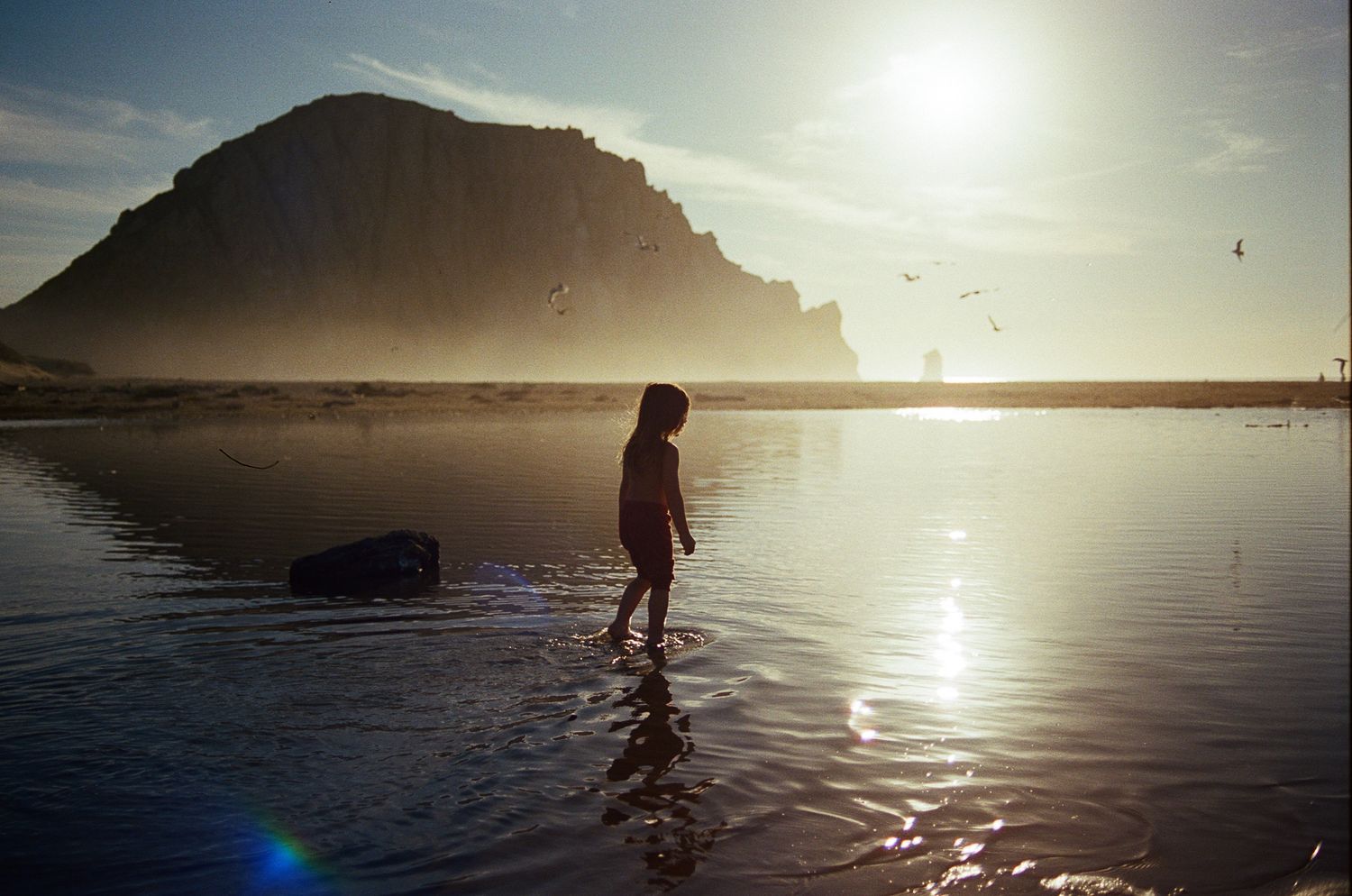 Dreamy coastal landscape at sunset with rays of light reflecting off calm waters near a rocky shoreline.