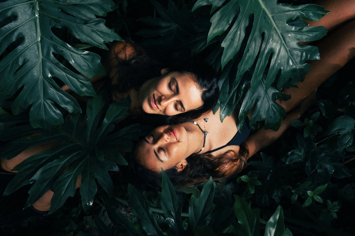 Two people lying among large tropical monstera leaves in artistic portrait.