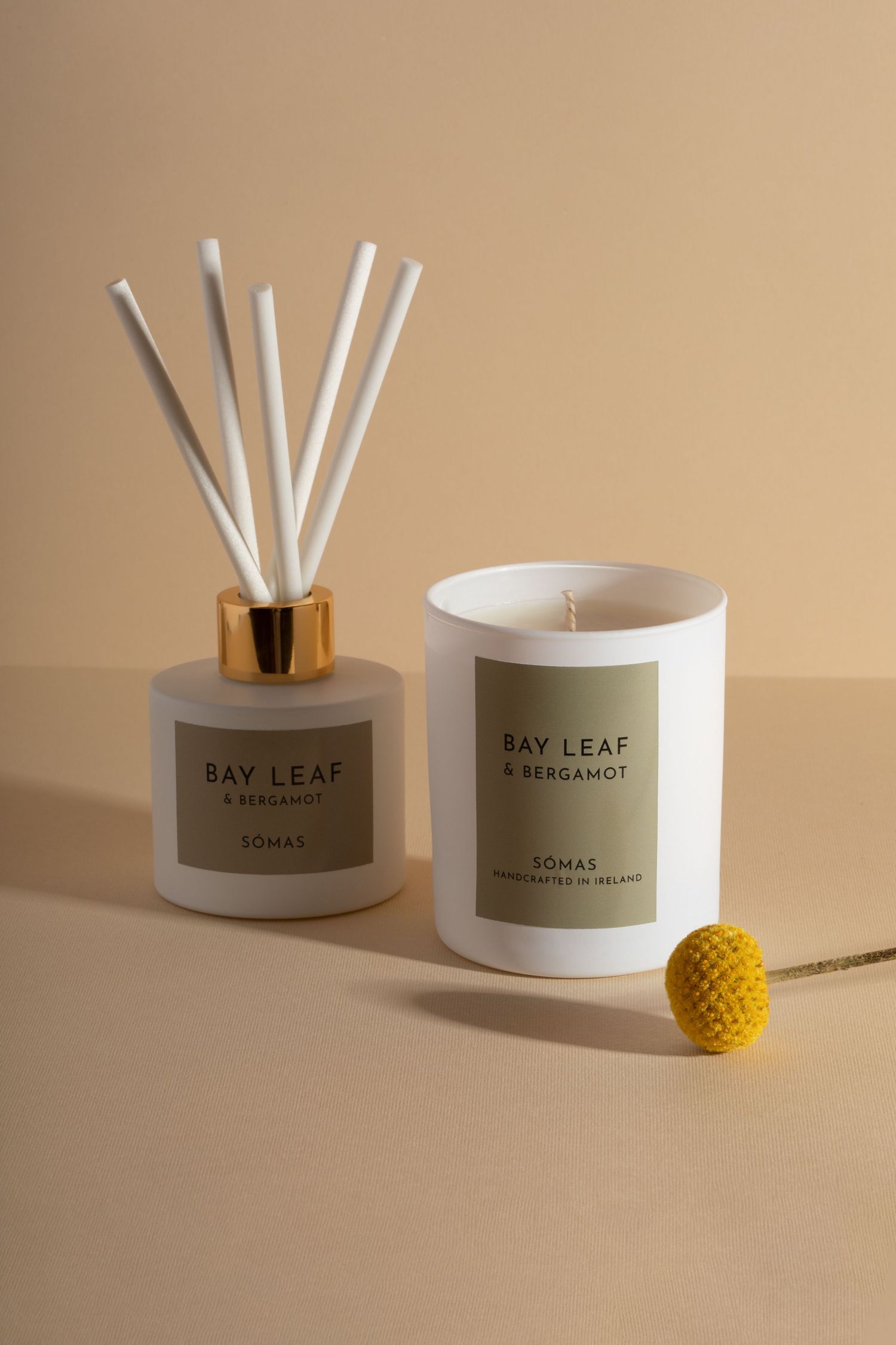 Bay Leaf & Bergamot diffuser and candle set with yellow decorative plant on beige background.