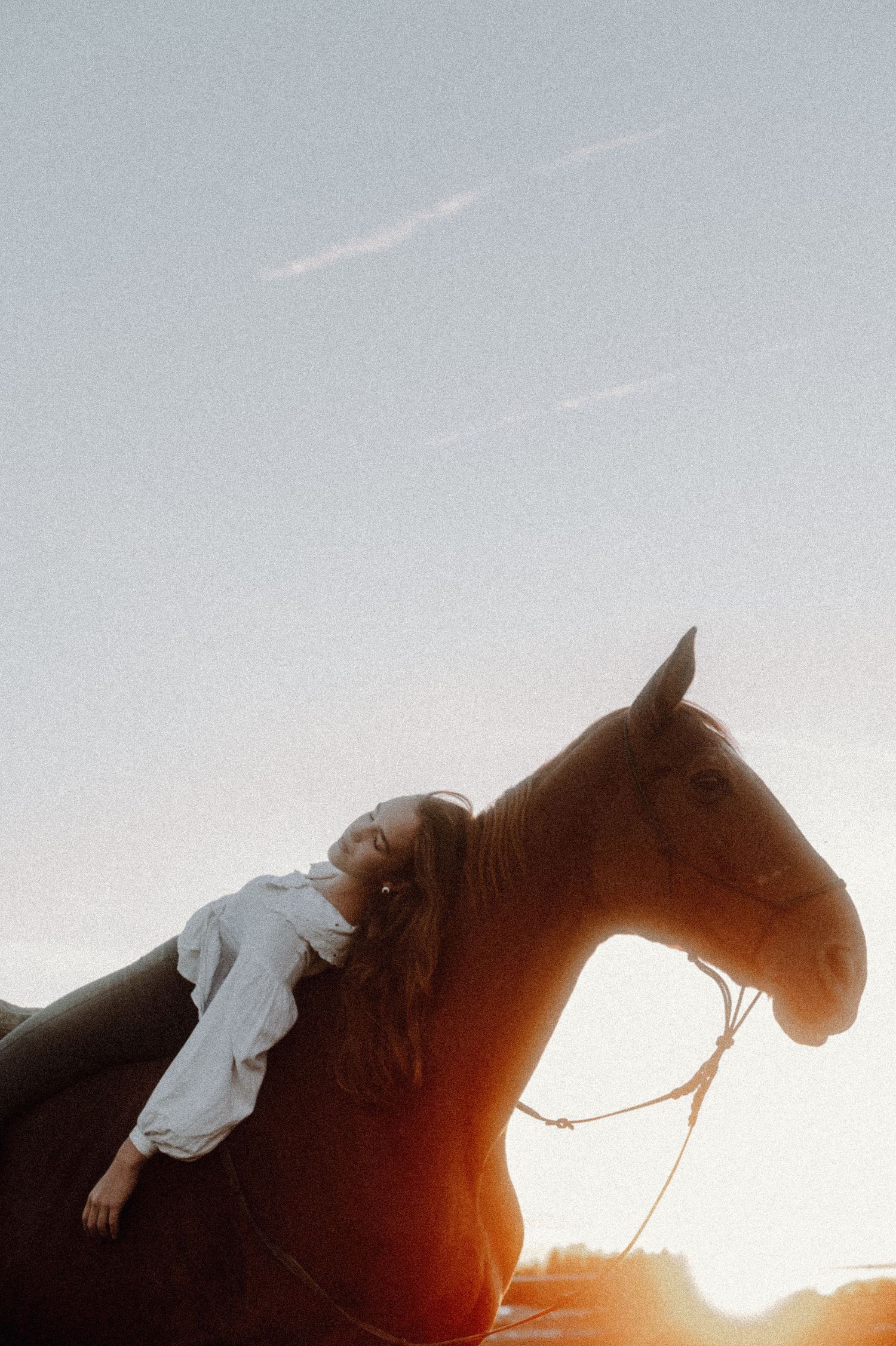 Horse and rider silhouetted against sunset sky in dreamy outdoor portrait series.