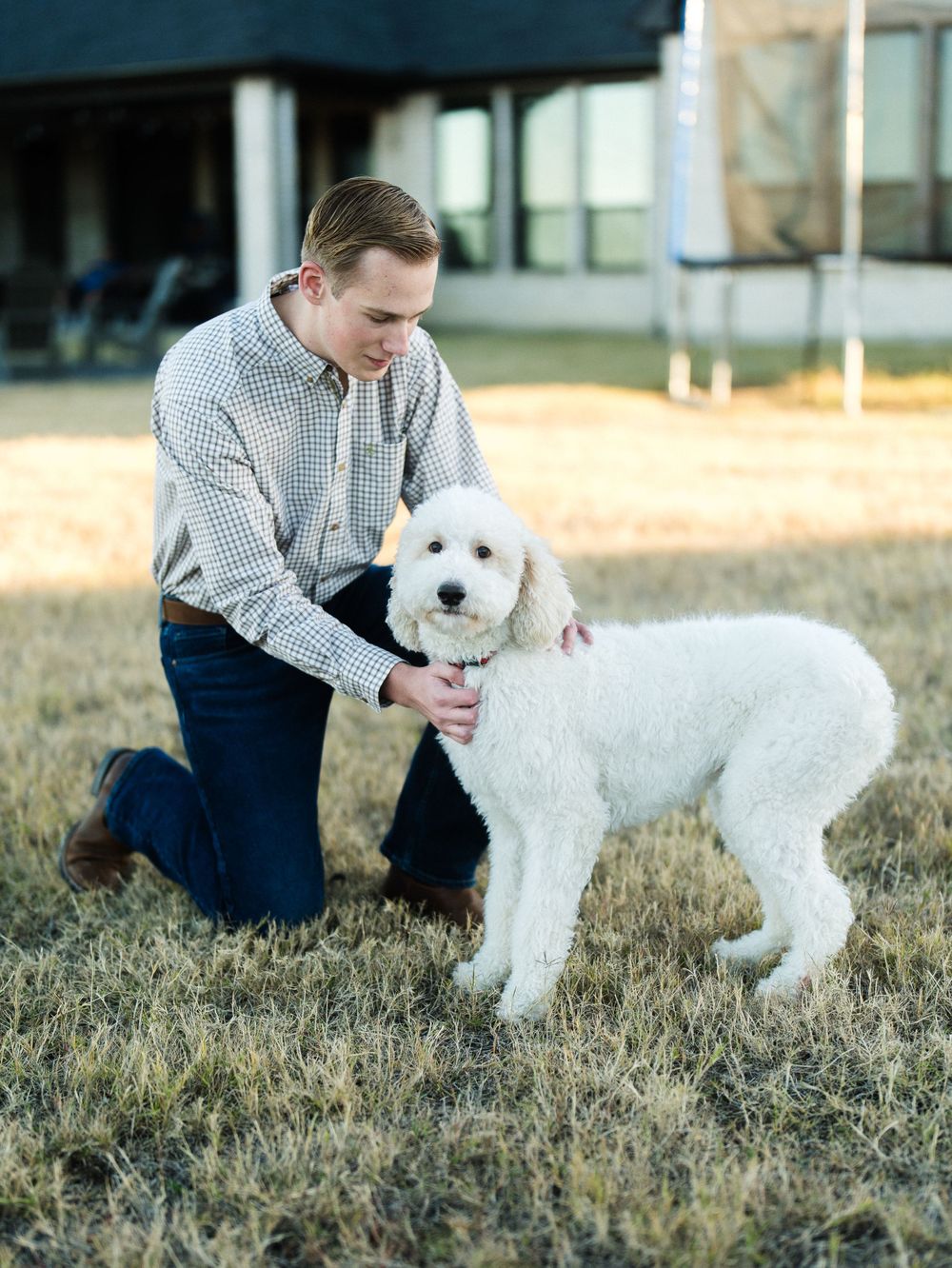 White fluffy dog being petted on grassy lawn during golden hour.