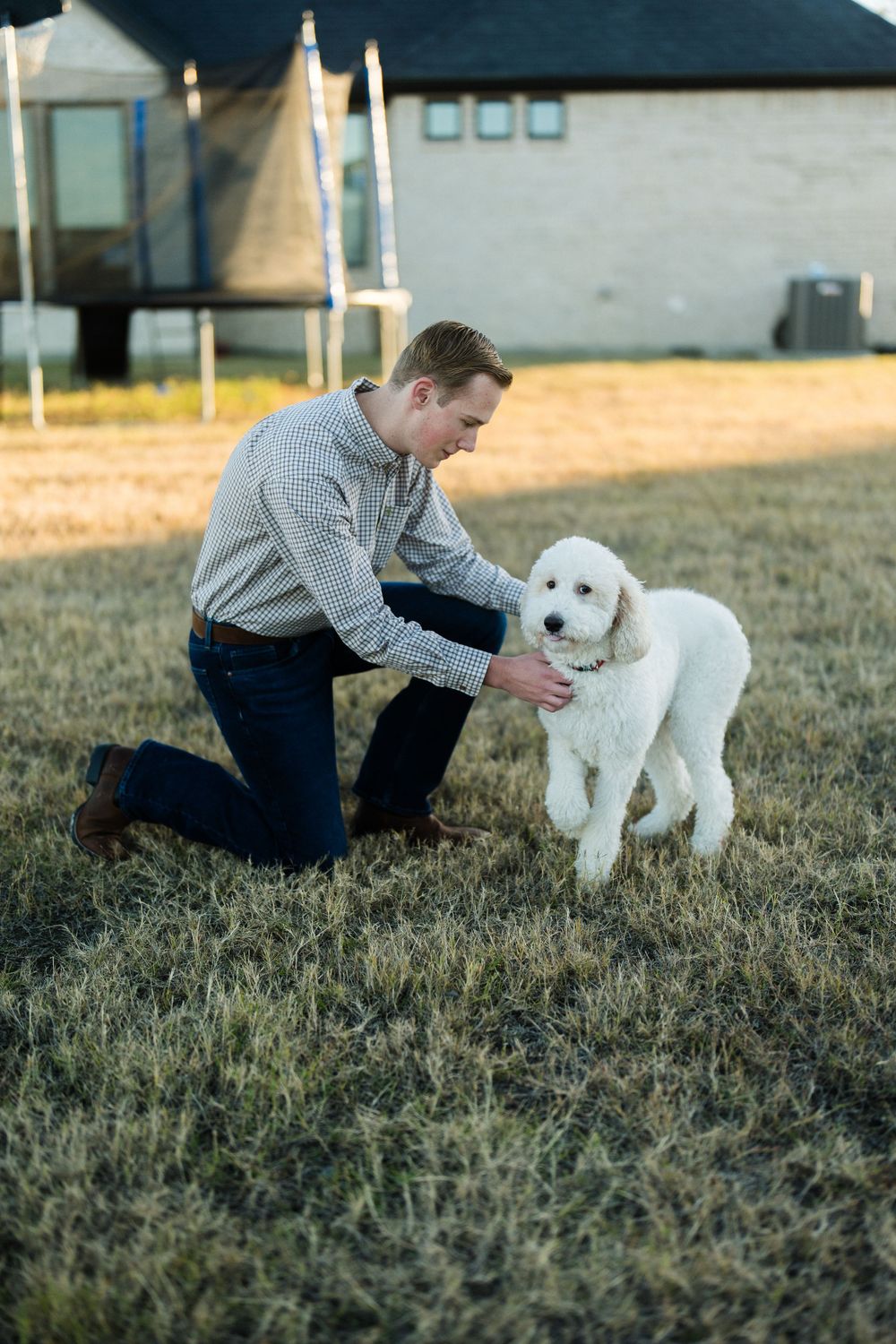 White doodle puppy playing with owner in backyard during sunset.