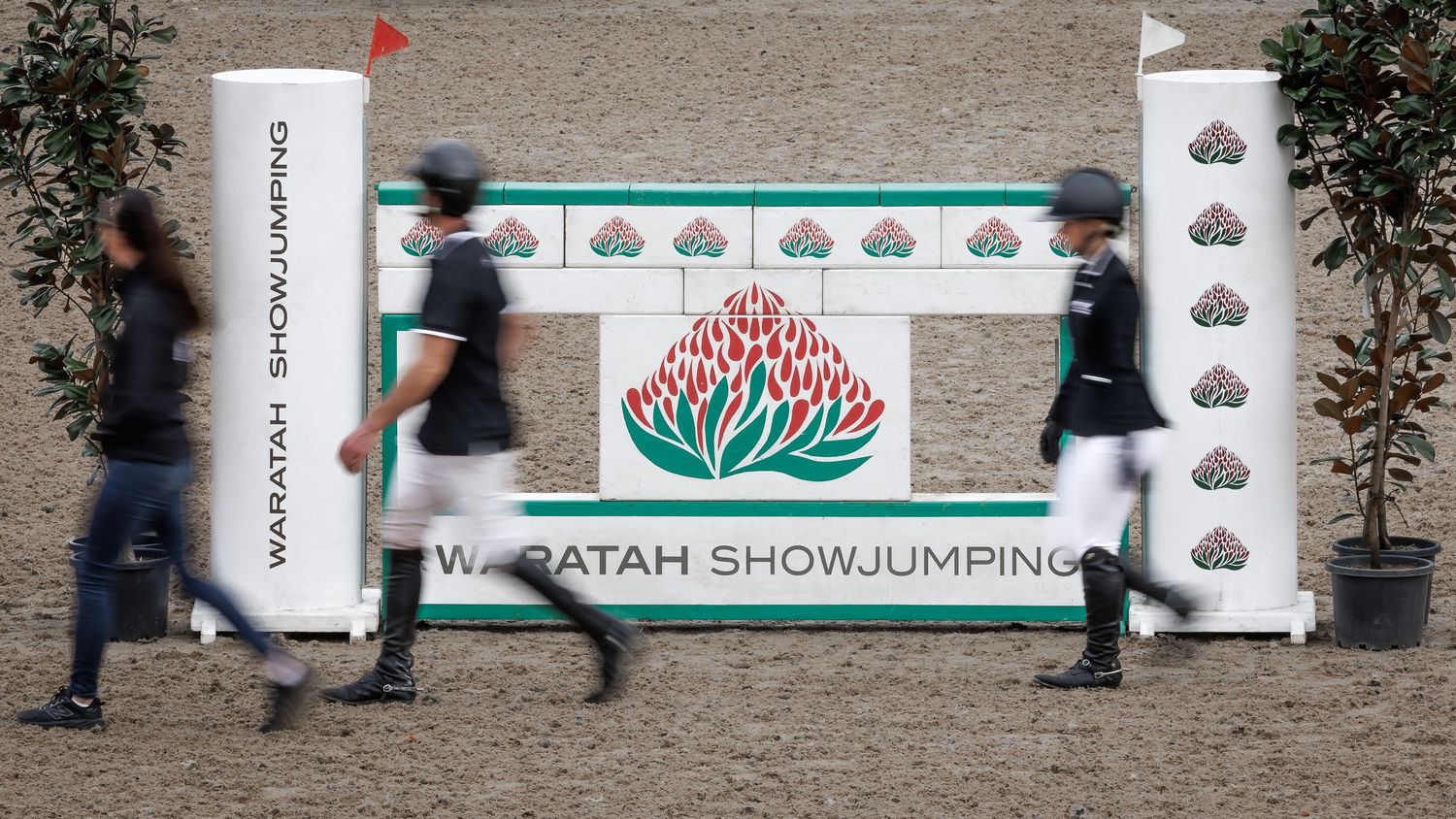 The Waratah Showjumping Wall. © Simon Scully 2026.