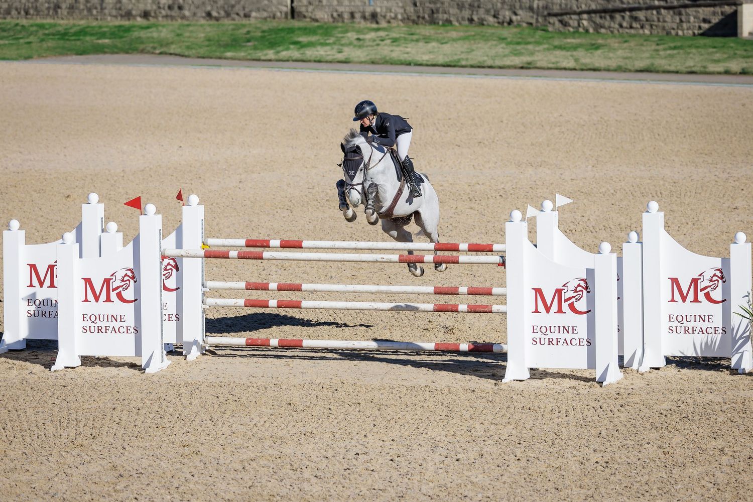 The Waratah Showjumping Wall. © Simon Scully 2026.