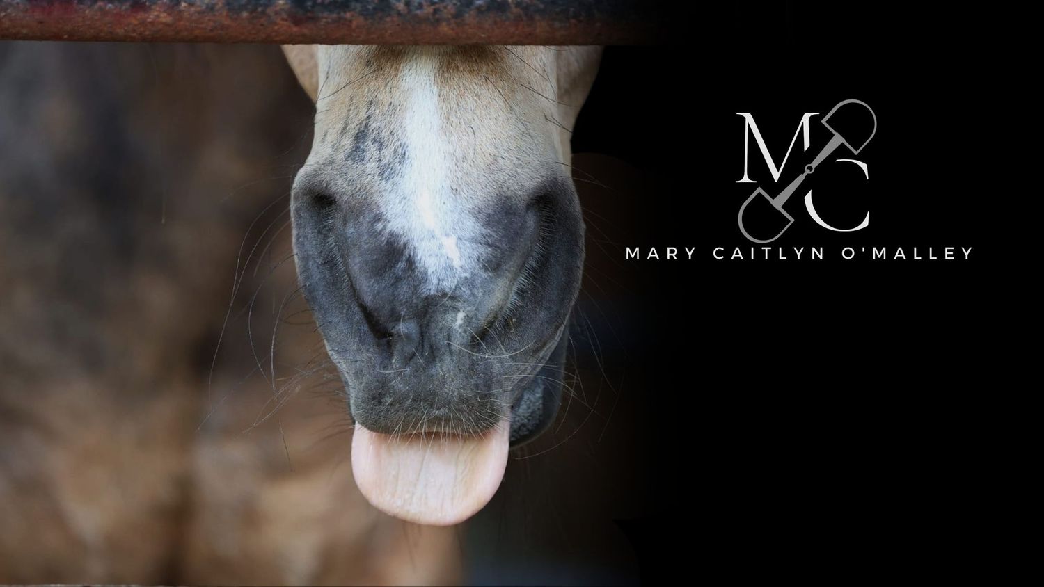 Creative services for equestrians: photography, logo design, ads, and social media management tailored to your needs.