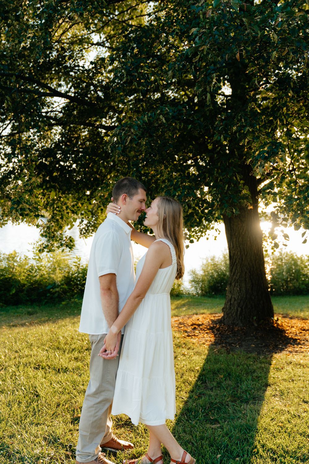 Intimate moment between couple under large tree with golden sunlight filtering through.