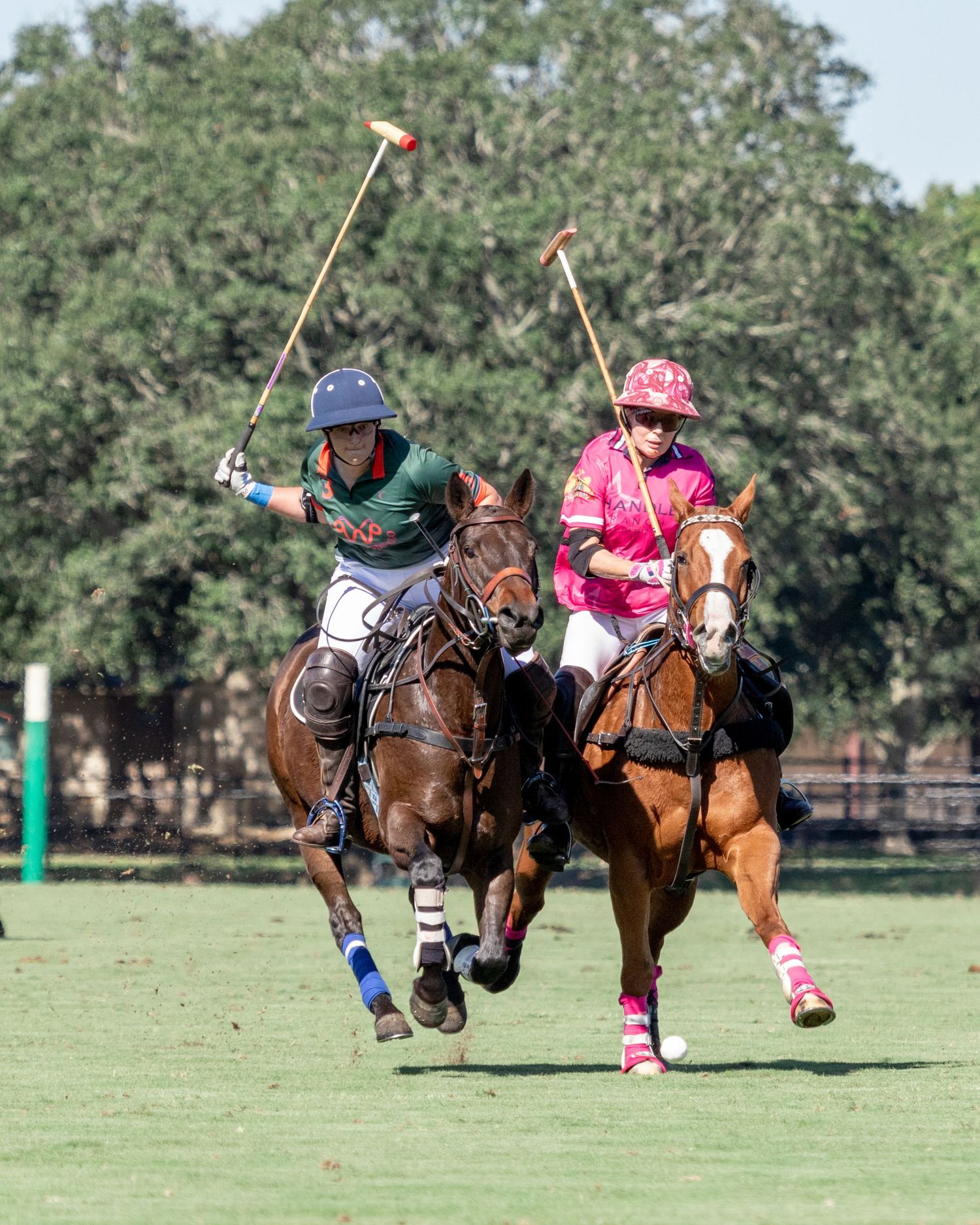 Polo