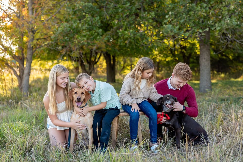 Playful group enjoying an autumn day outdoors with their golden retriever and black lab dogs in a grassy field.
