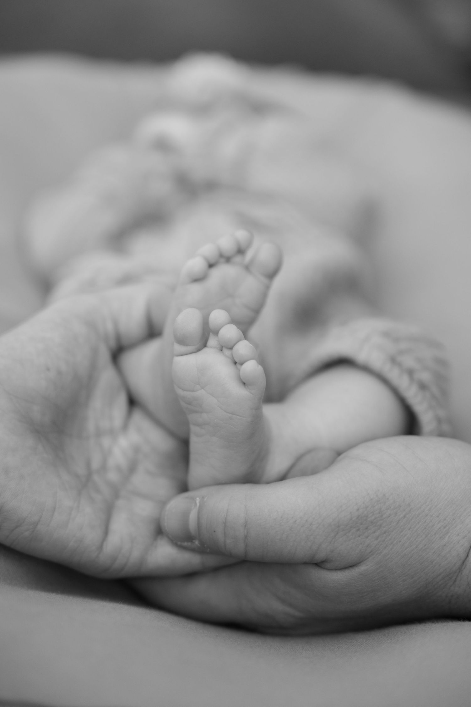 detail photo of parents holding newborn baby's feet during in home lifestyle newborn session in lake elmo, mn