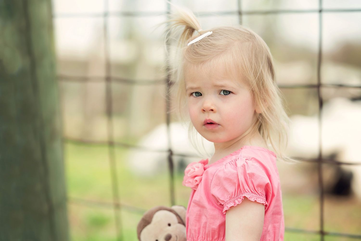 Kensington Metropark Farm Center family and child photography; portrait of little girl by South Lyon, MI family photographer