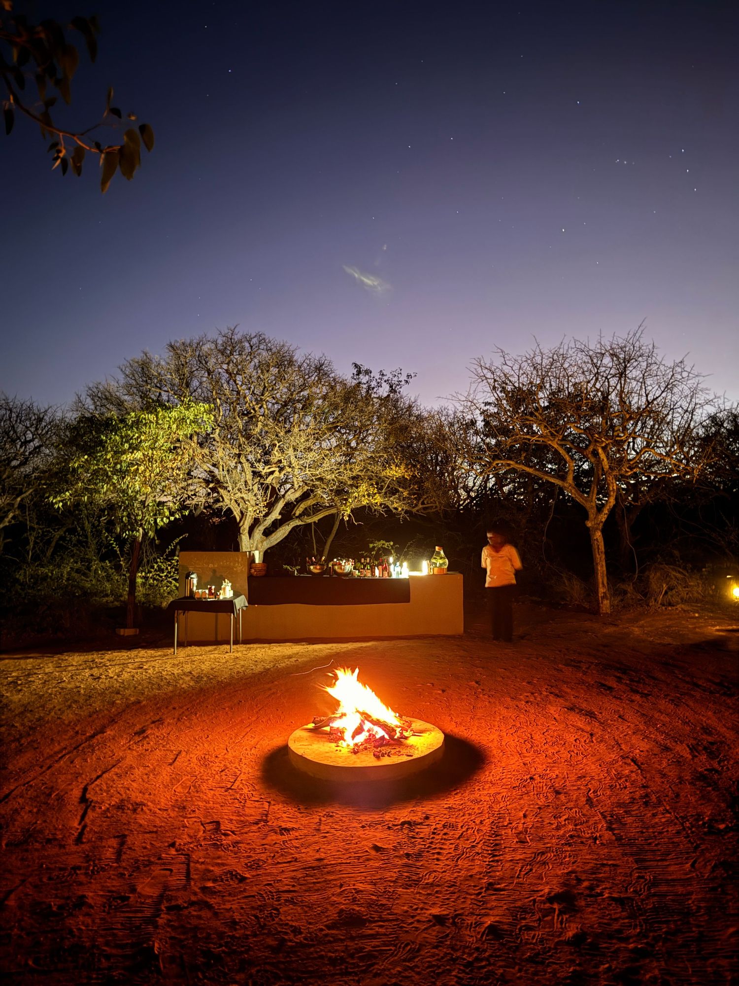 feu de camp au milieu de la brousse de nuit avec un ciel étoilé en namibie