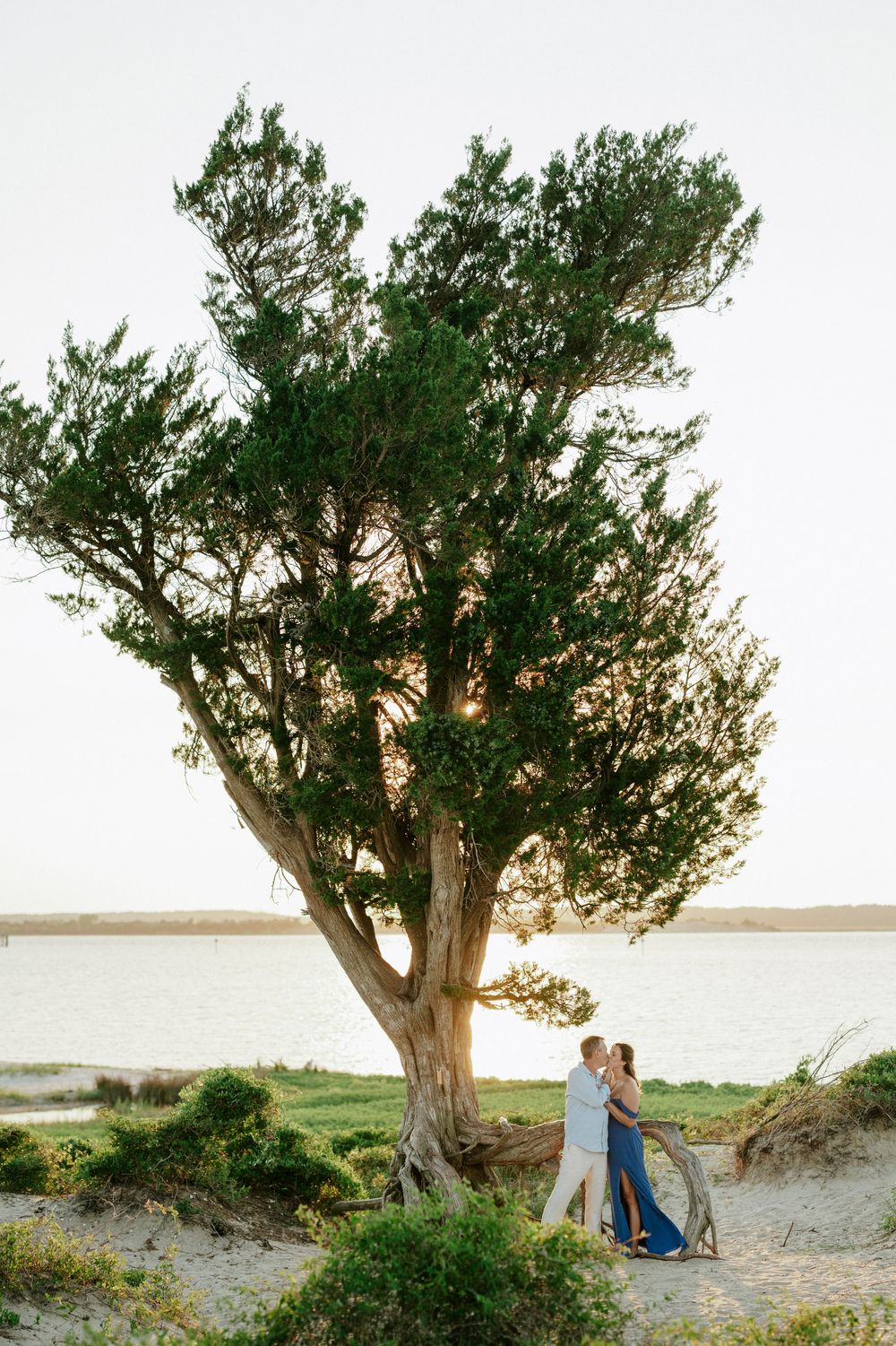 Couple embracing under a large coastal tree at sunset on sandy beach with water in background.