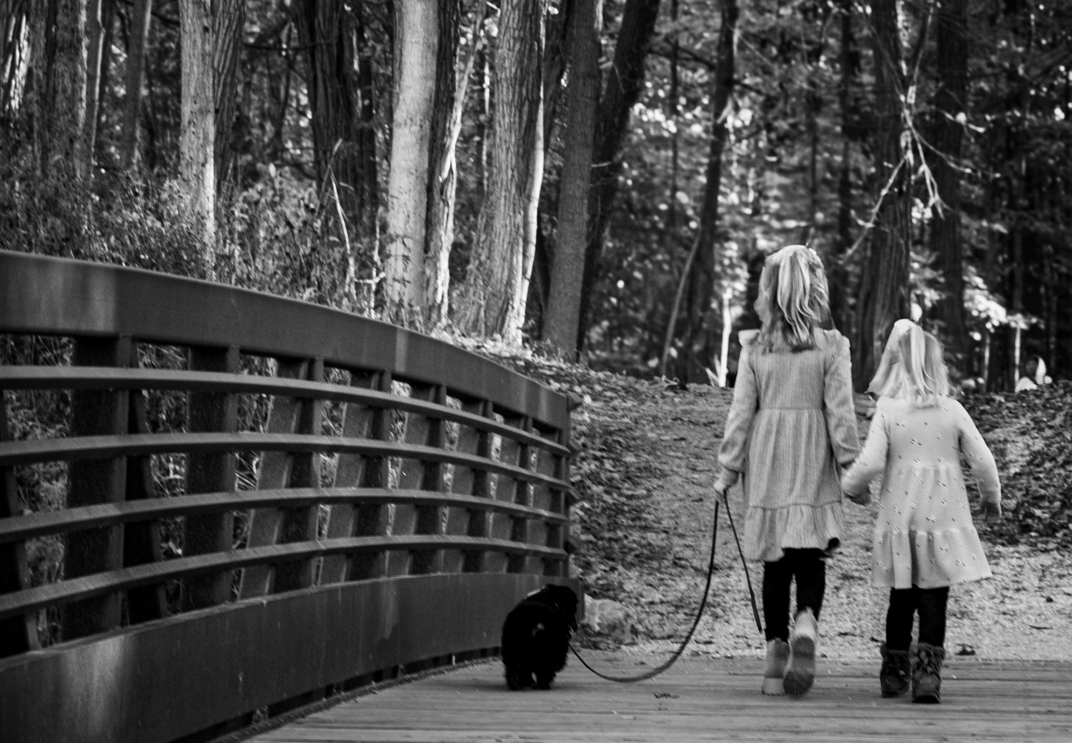 Two young girls in coats walk a small dog across a wooden bridge in a forest park.