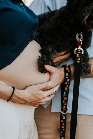 Person holding a fluffy black dog on a decorative leash outdoors.