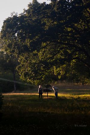 Two people stand near a sign in a sunlit meadow beneath a large green tree at golden hour.
