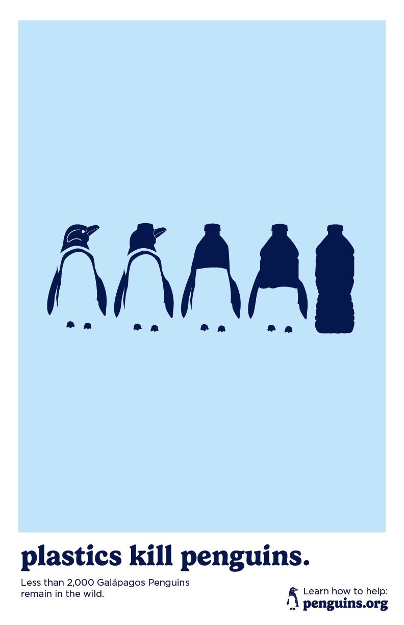 Anti-plastic pollution poster showing penguins transforming into a plastic bottle, with text plastics kill penguins by penguins.org.