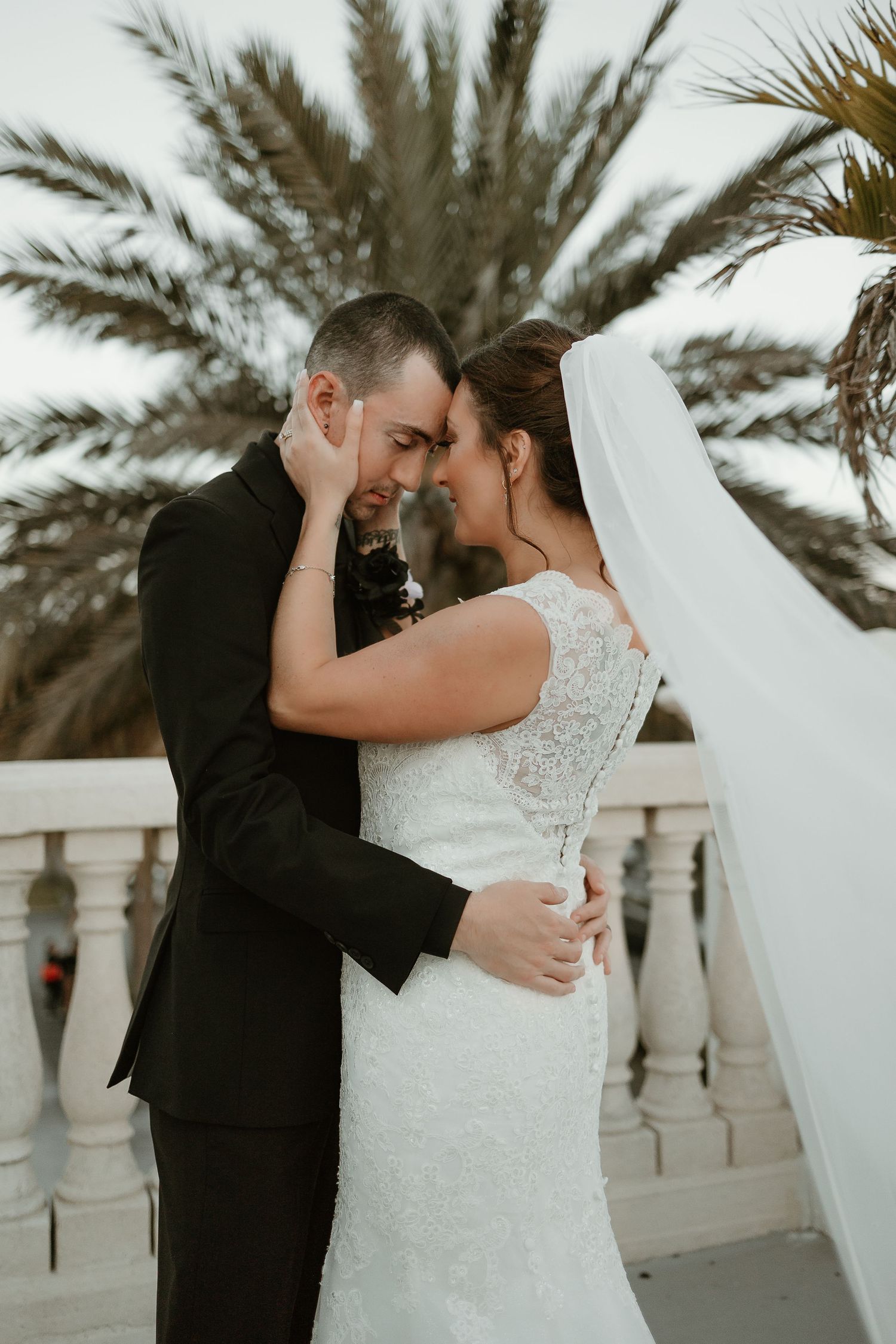 Romantic wedding portraits against palm trees with bride in lace gown and groom in black suit.
