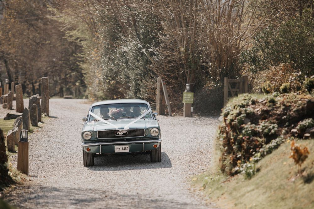 Classic vintage Ford Mustang drives along a tree-lined gravel driveway on a sunny day.