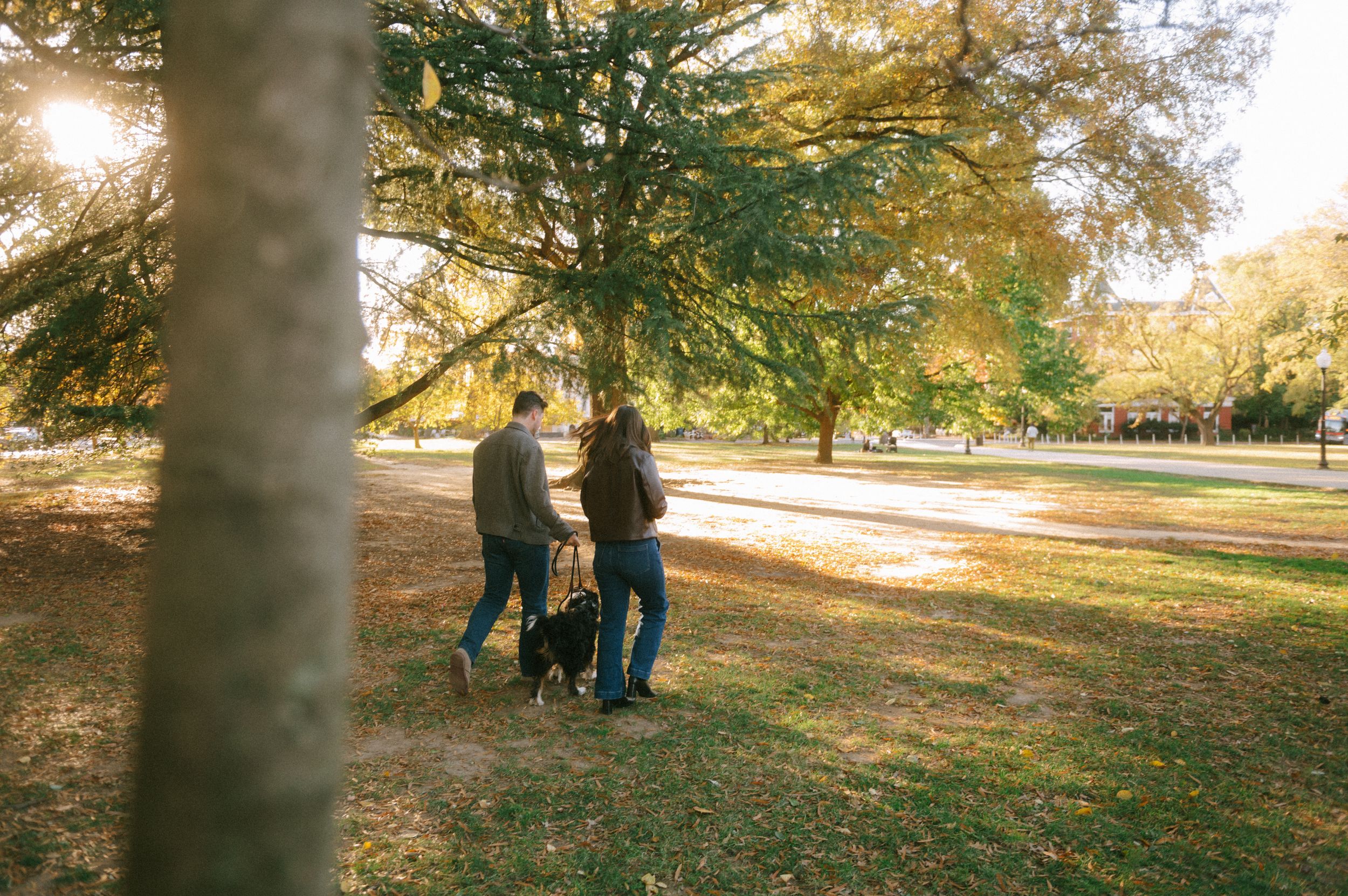 A couple stands together on fallen autumn leaves in a sunlit park during golden hour.