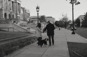 A couple walks their black dog along a sidewalk next to historic buildings in this vintage black and white photograph.