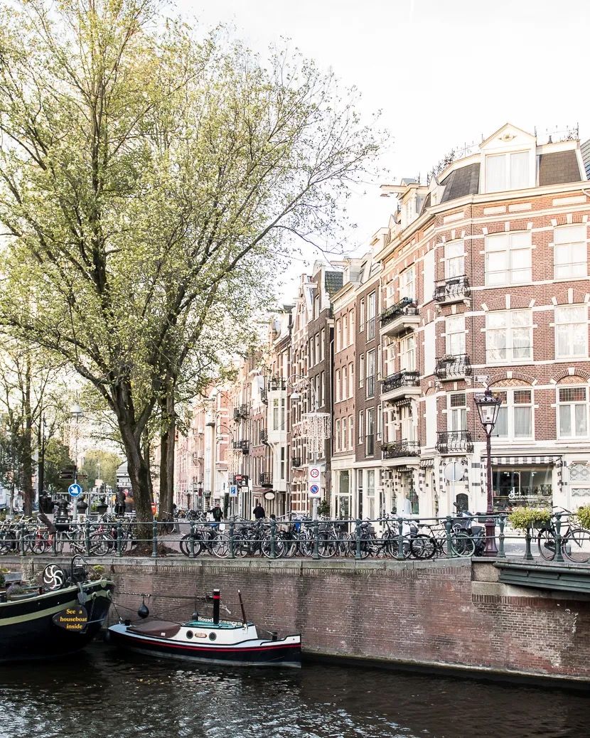 Scenic Amsterdam canal lined with tall trees and historic homes, with small boats docked along the water.
