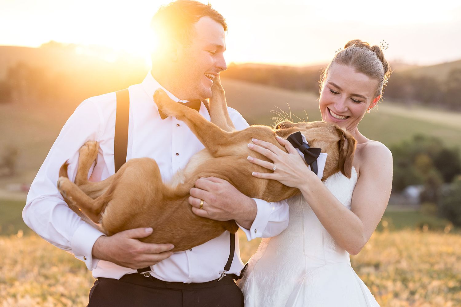 A couple in white outfits plays with their dog in a golden sunlit field during sunset.