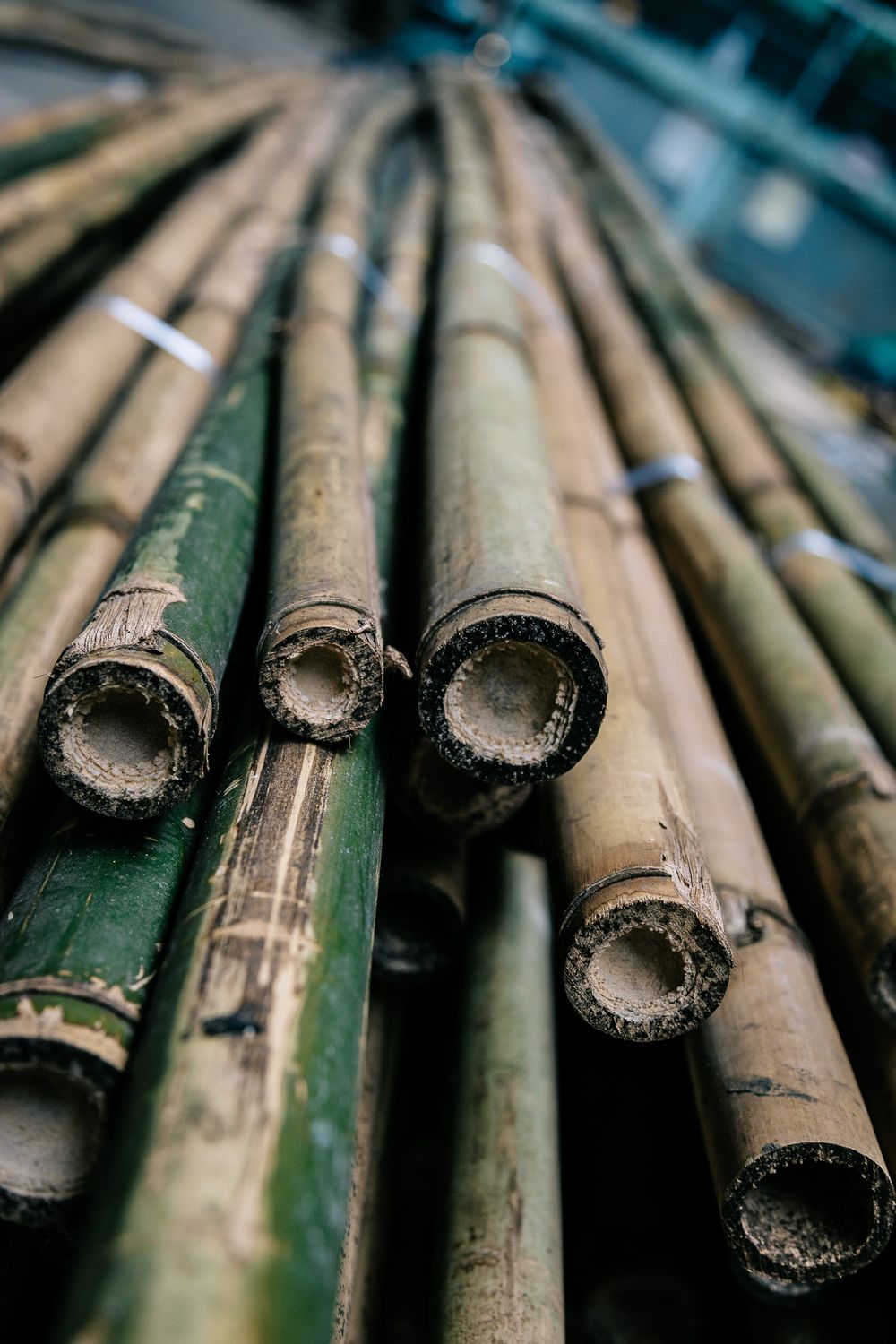 Close-up of bundled bamboo poles stacked together showing hollow ends and natural green coloring.