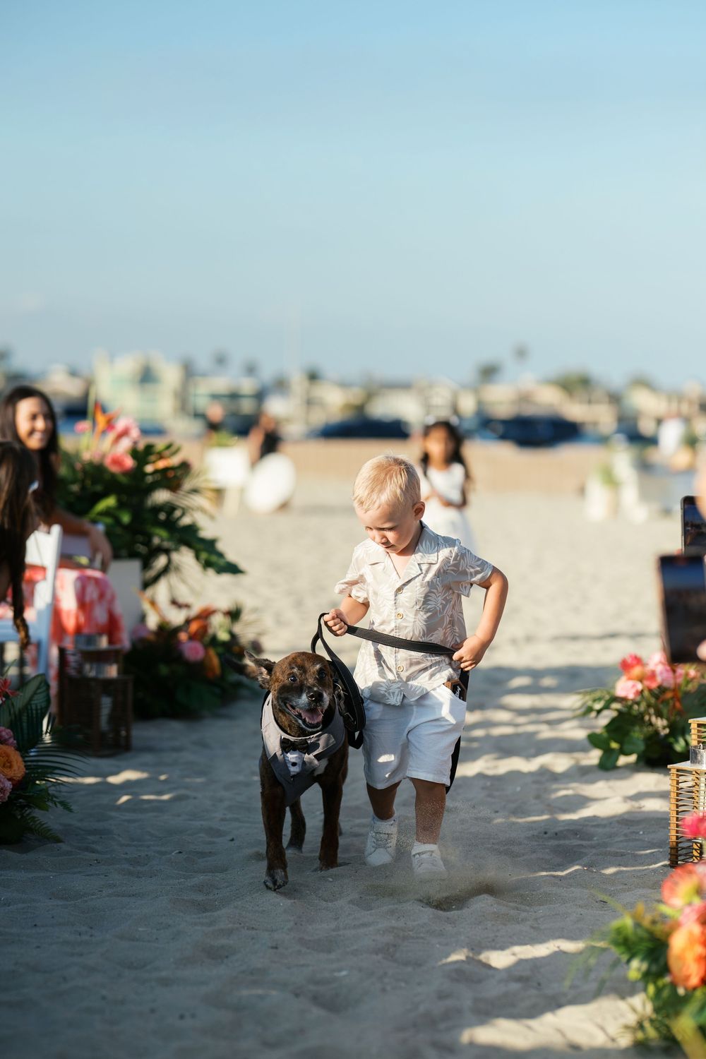 Couple plays with their dog on a sunny beach during a wedding ceremony setup with white chairs and floral decor.