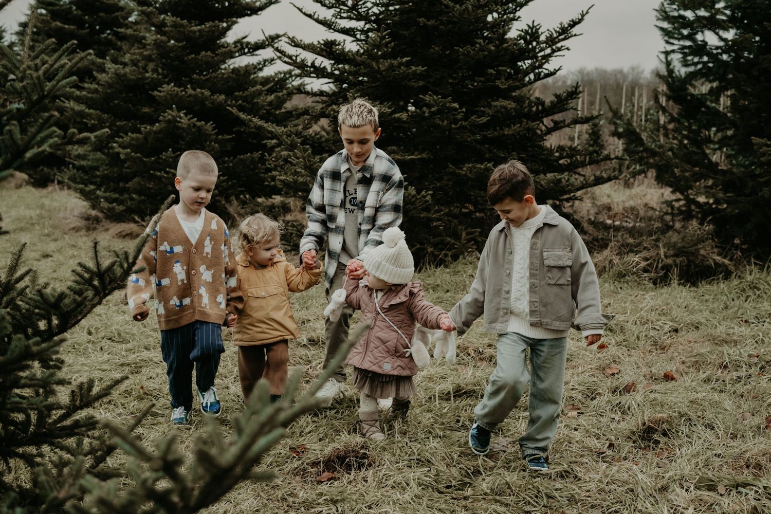 A small group strolls through a scenic mountain meadow dotted with evergreen trees in autumn.
