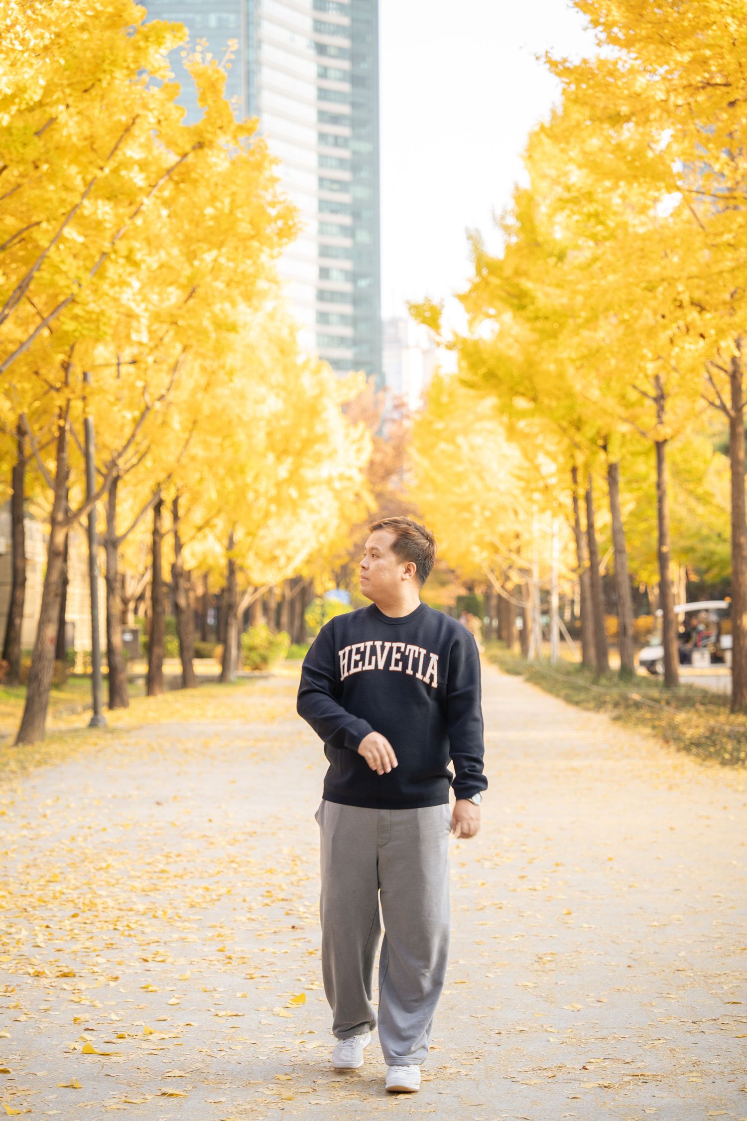 A person in a black sweatshirt walks along a beautiful path lined with golden yellow fall foliage trees in autumn.