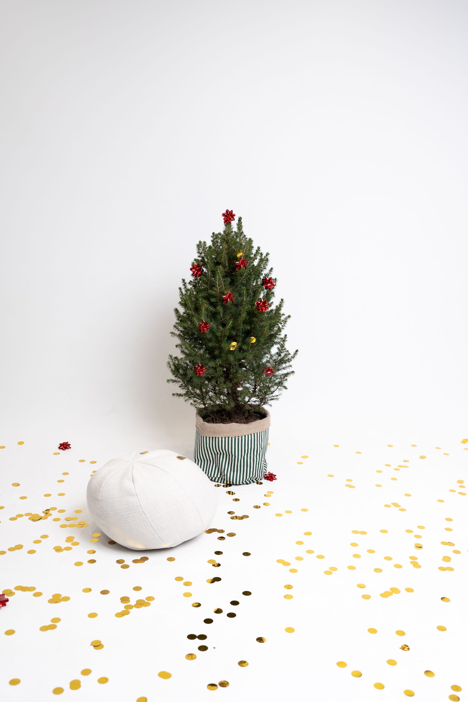 Small potted Christmas tree with red decorations on white surface with scattered gold confetti.