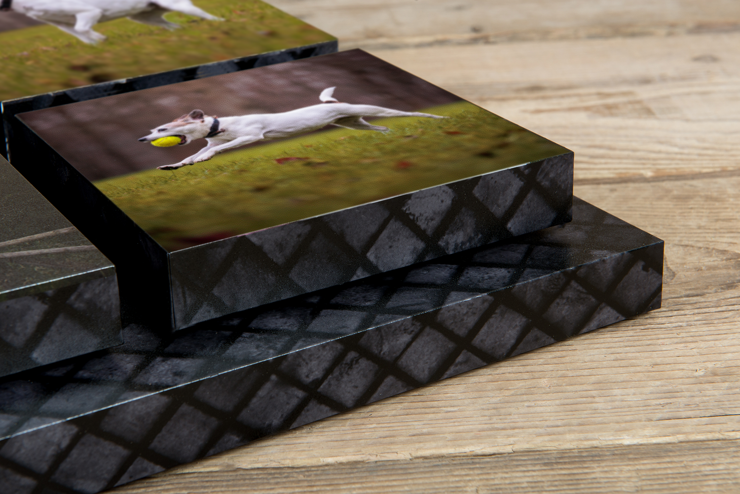 Stack of canvas photo blocks featuring dog photography on wooden surface.