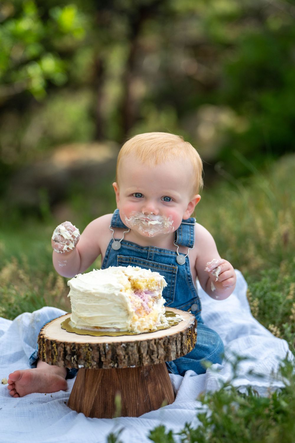 First birthday cake smash photography on rustic wood slice with outdoor natural backdrop. Cake smash