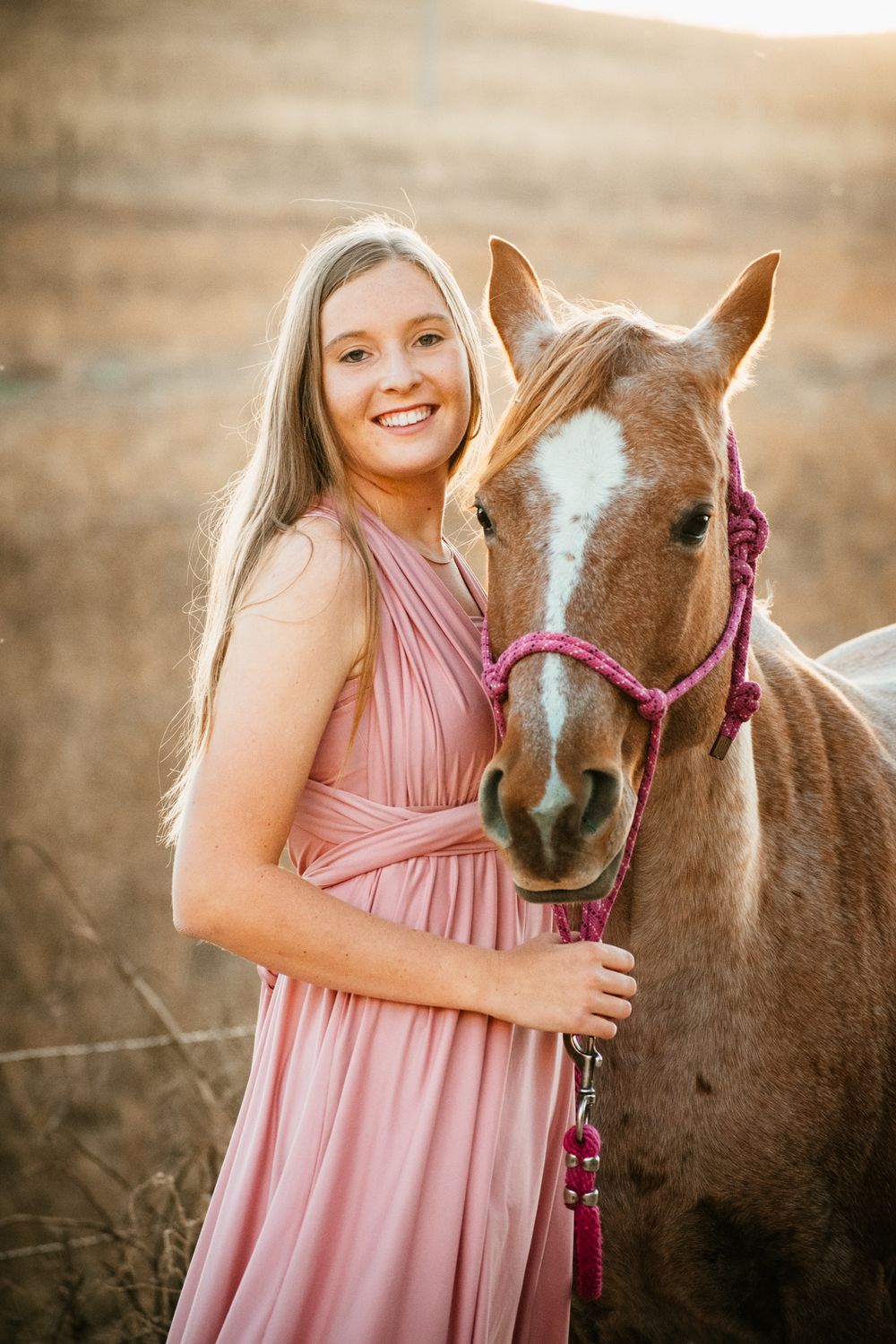 A person in a pink dress poses with a brown horse wearing a purple halter during golden hour in a field.