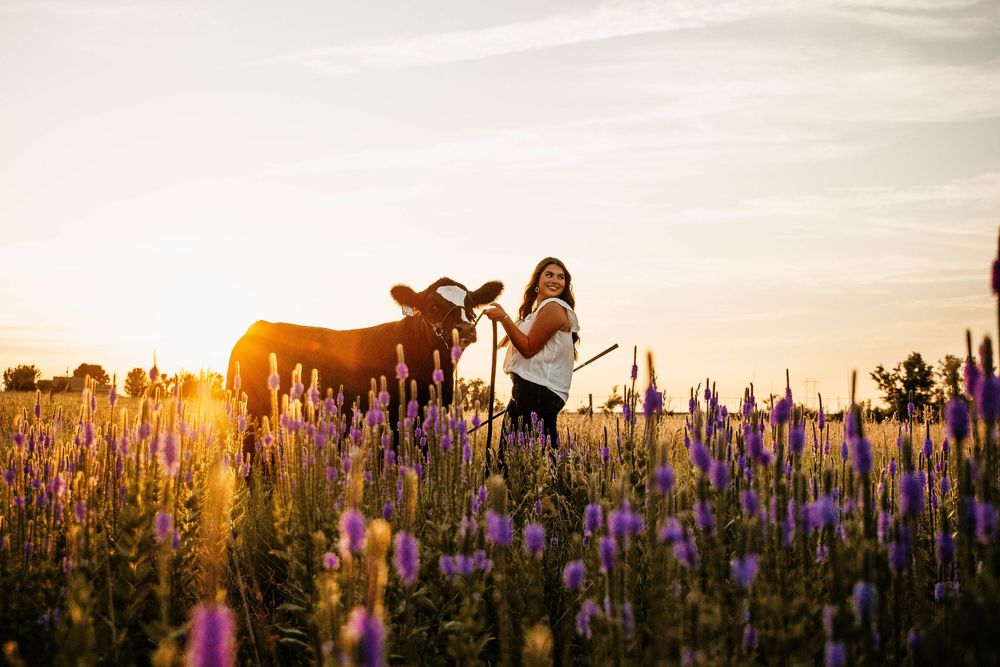 A silhouette stands with a horse in a field of purple wildflowers during golden sunset hour.