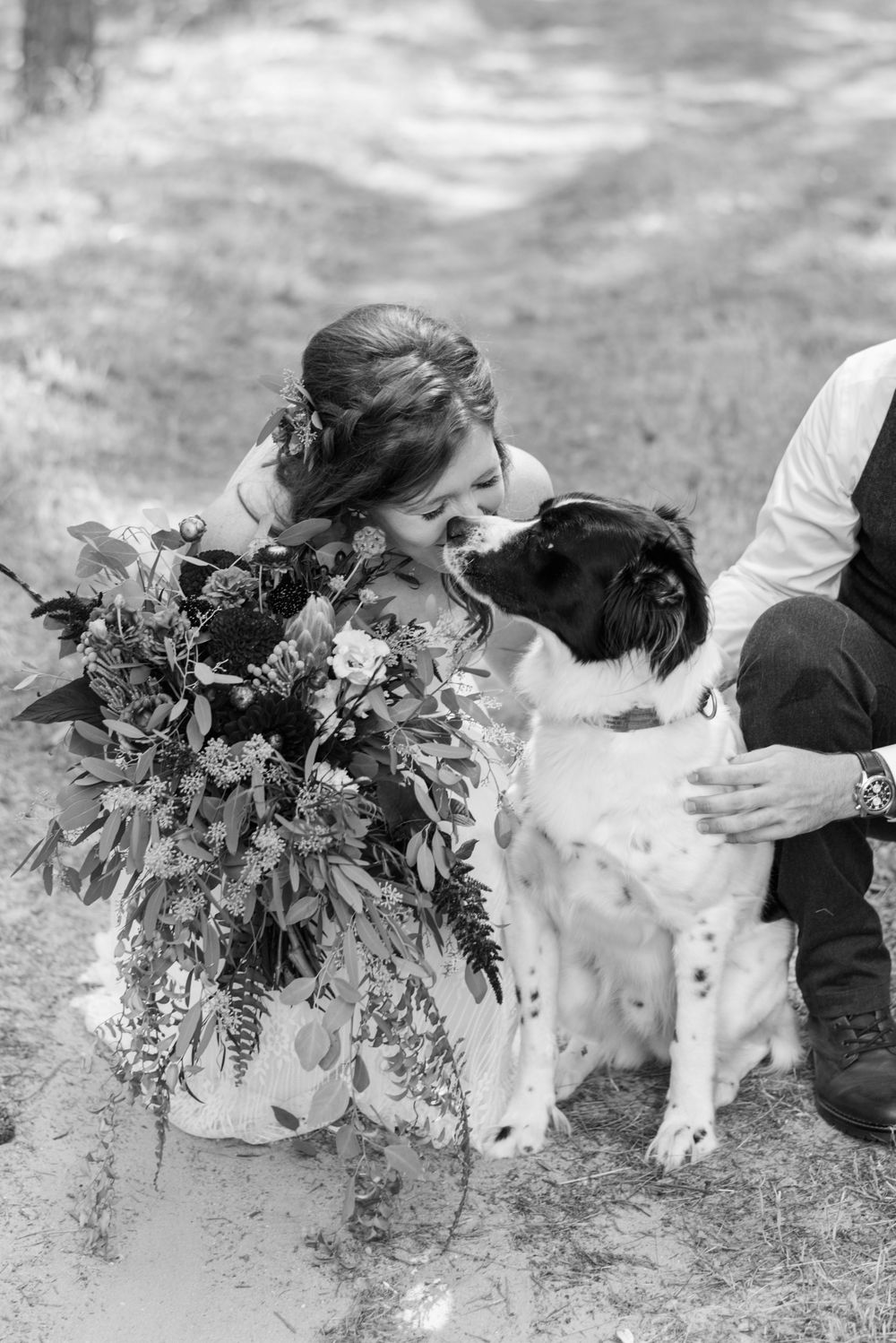 Black and white wedding photo of bride kissing dog while holding bouquet, groom seated nearby outdoors.