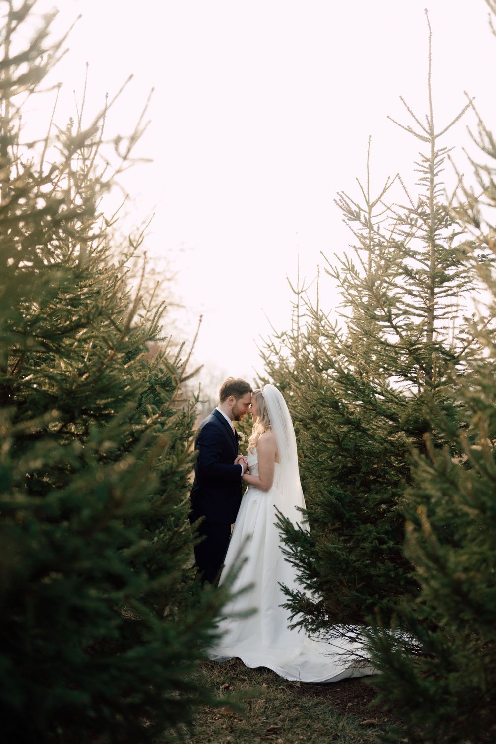 Bride and groom share a romantic moment surrounded by evergreen trees at an outdoor winter wedding.